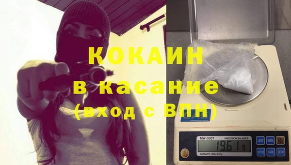 шишки Балабаново