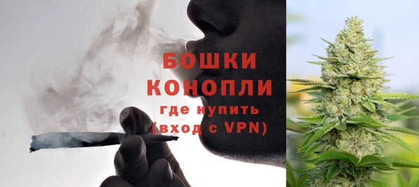 шишки Балабаново