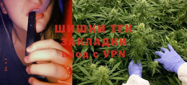 шишки Балабаново
