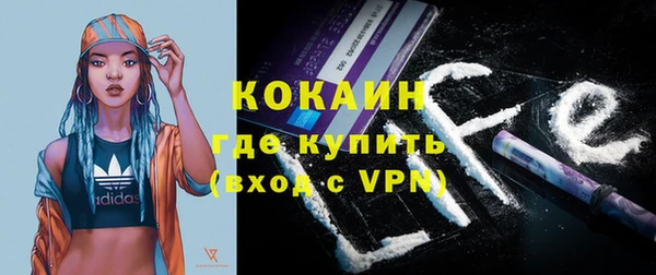 шишки Балабаново