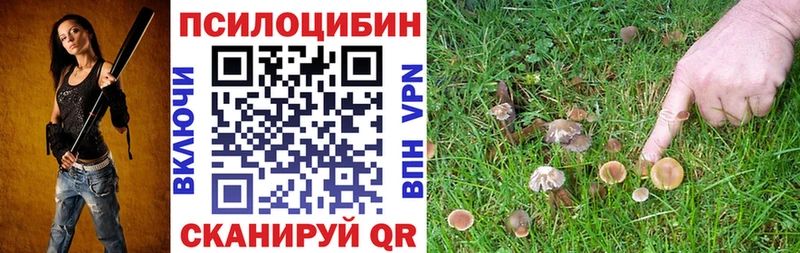 Псилоцибиновые грибы ЛСД  Туринск 